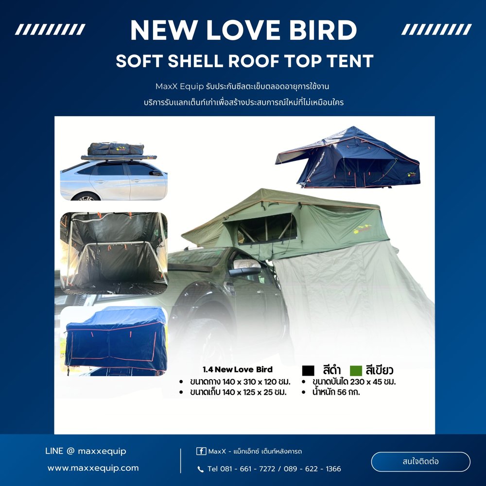 New Love Bird